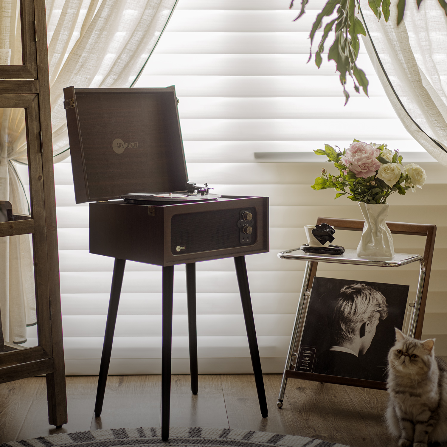 Cleaning a vinyl record before playing on a record player