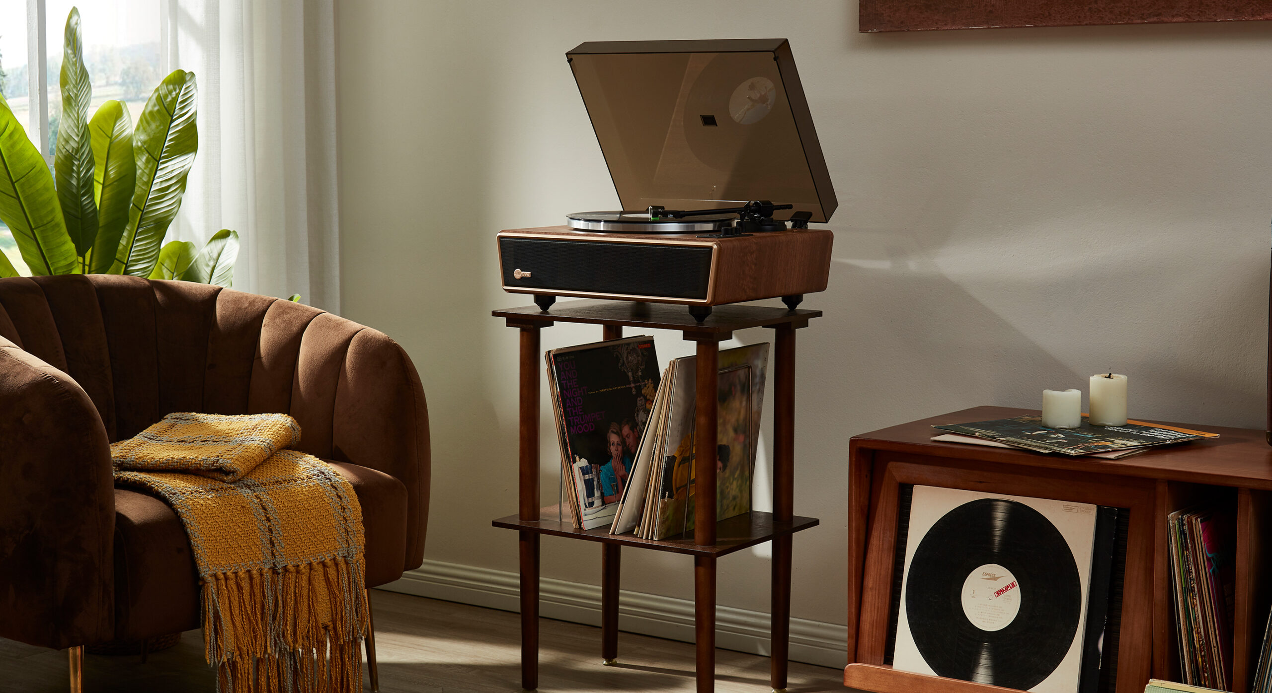 Cleaning a vinyl record before playing on a record player